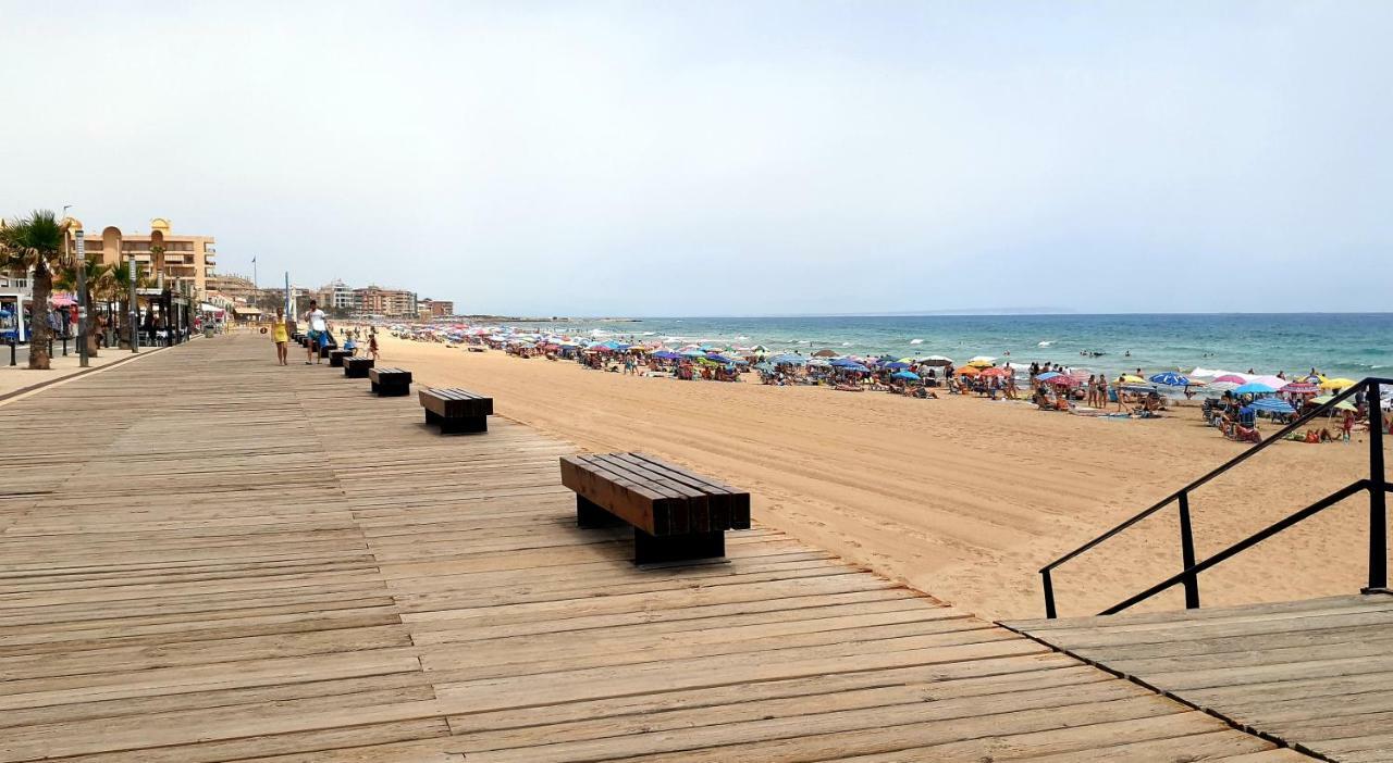 Avenu Belgica * La Mata (Torrevieja)